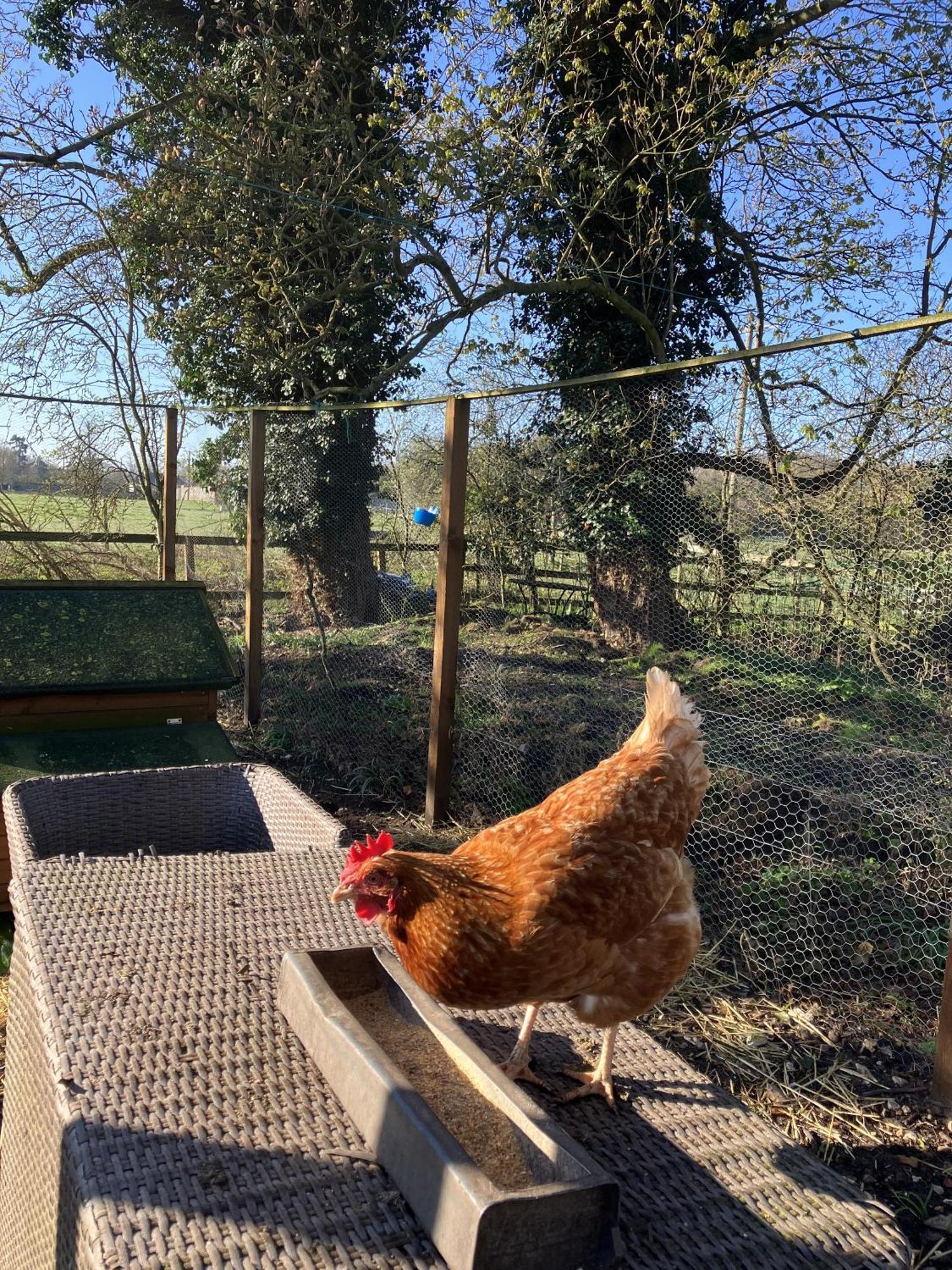Grange Farm Thetford